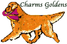 Golden Retriever Breeders Maryland, Golden Retriever Puppies Maryland, Golden Retriever Stud Dogs Maryland, Charms Golden Retrievers, charms logo